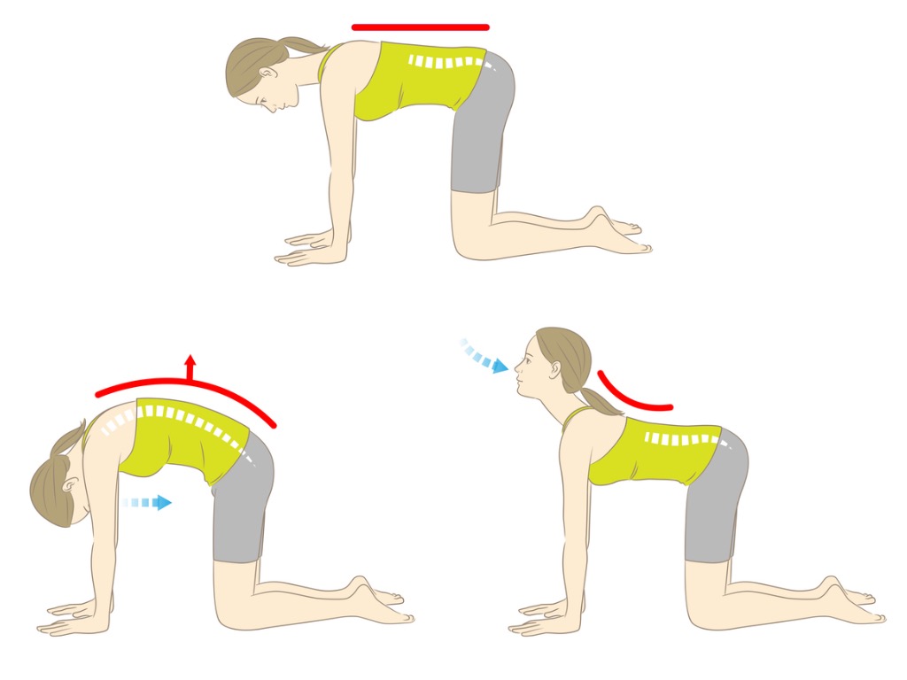 BeyondFitness|精選文章